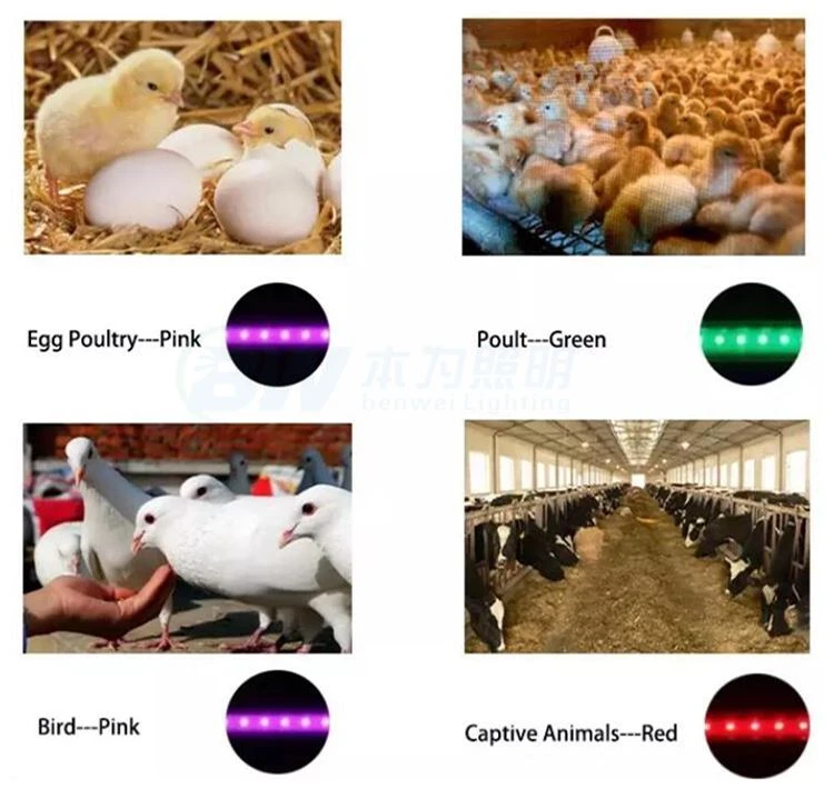 product-1-1 72 (5)