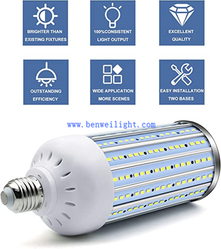 corn bulb-1 corn bulb-1