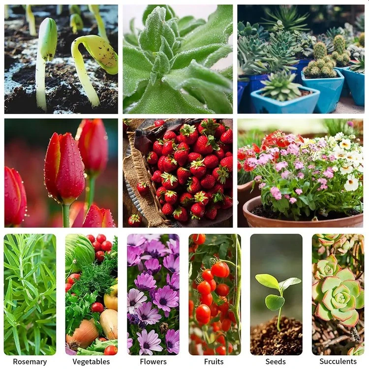 full spectrum new horticulture bulb application full spectrum new horticulture bulb application