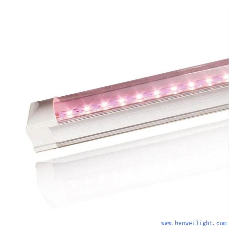Grow Light nm