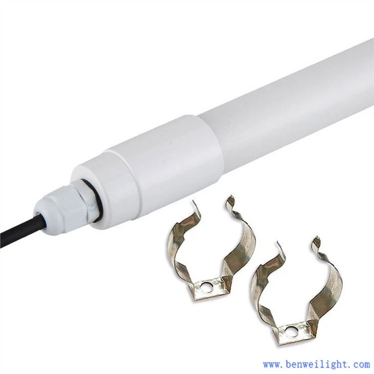 Ljósagildrur fyrir alifugla