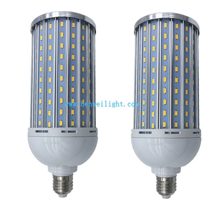 Corn Light 43
