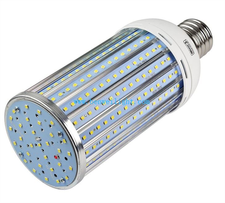 Corn Light 42