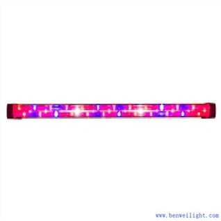 Grow Led ljós