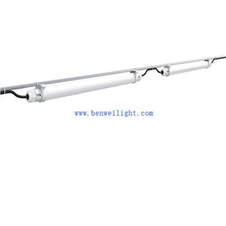 LED broiler lýsing