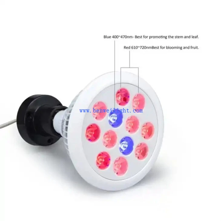 PAR38 36W Bulb LED Grow Lights 1