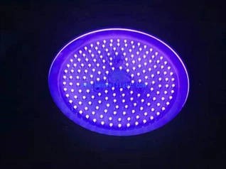 1000W 440NM 420NM Bule LED ljós