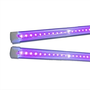 F17t8 Black Light Tube