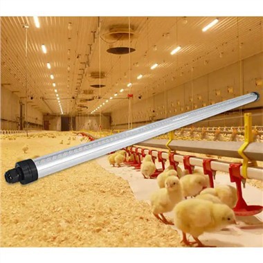 IP69K Vatnsheldur 65W/45W Pig House Chicken Tube Light