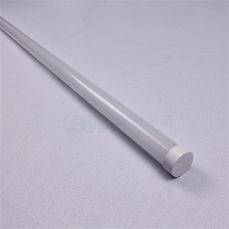 chicken brooder light