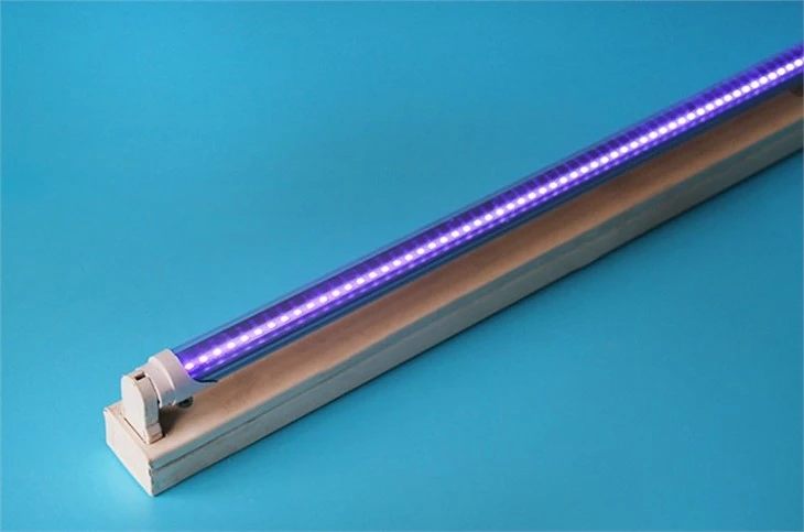 Uv Tube fyrir flugnadrepandi