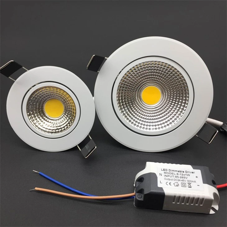 Warm White Downlight for Hotel Lighting price