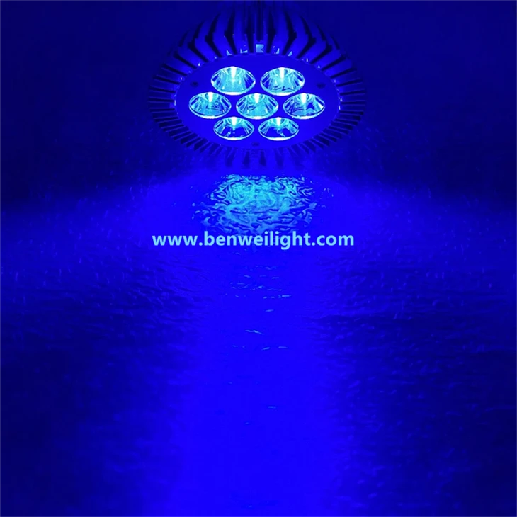 21W 450-500nm Blue LED Aquarium Plant Grow Light - PAR30 factory