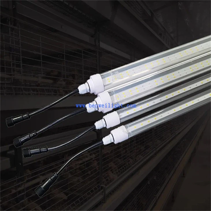 Clucker Coop Light (3)