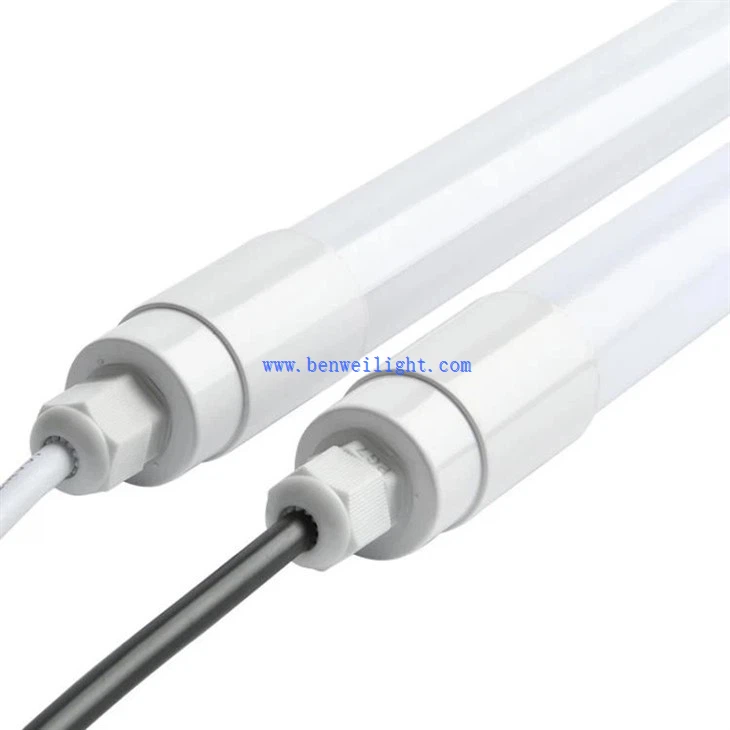 Dairy and poultry light (1)