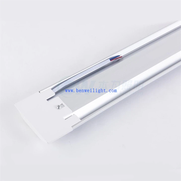 LED Purification Light