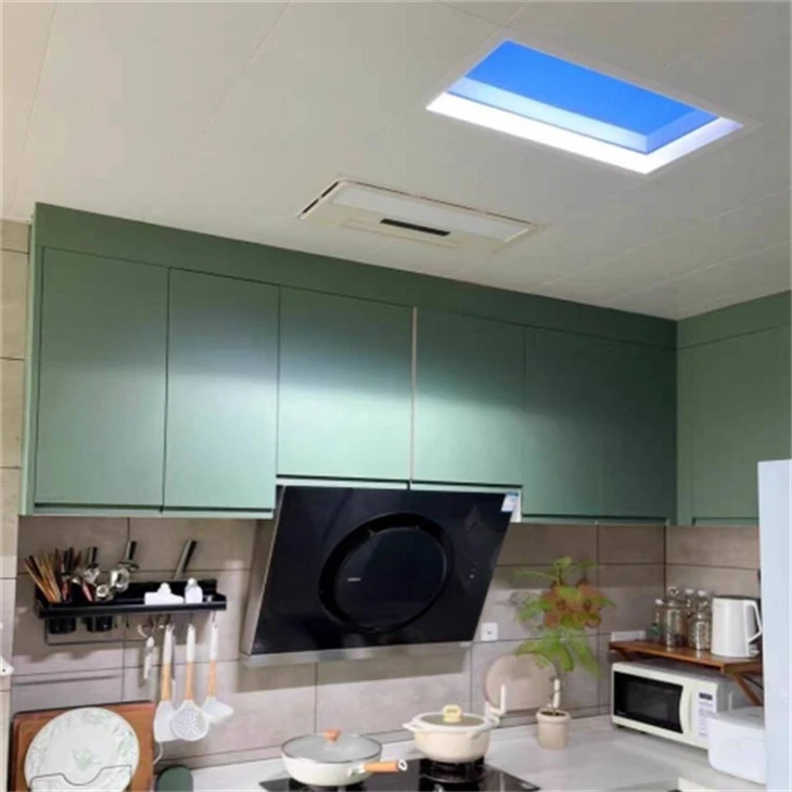 ceiling light