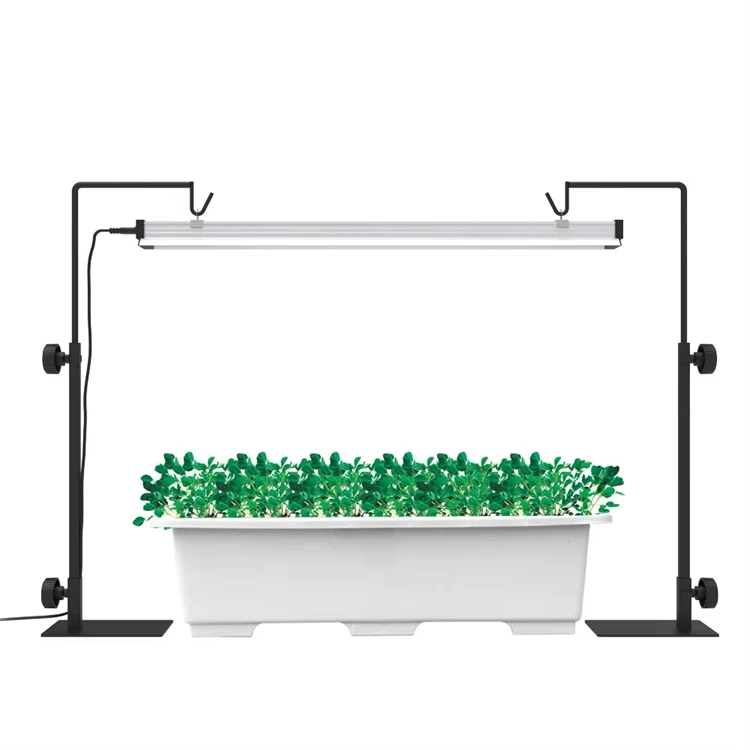 product-750-750 product-750-750