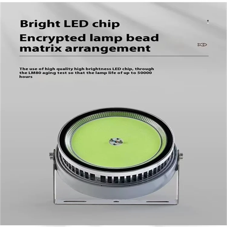 product-750-750 product-750-750