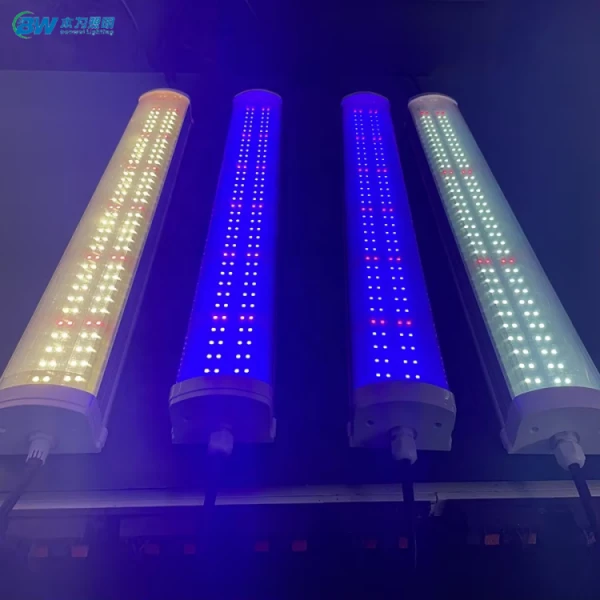 product-600-600