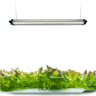 LED vaxtarljós, 3-haus rautt-blátt-hvítt plöntuljós með fullu litrófi