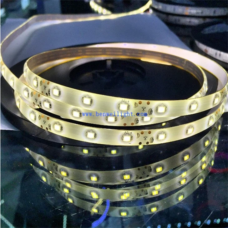 SMD5050 Flexible Rope Light (5)